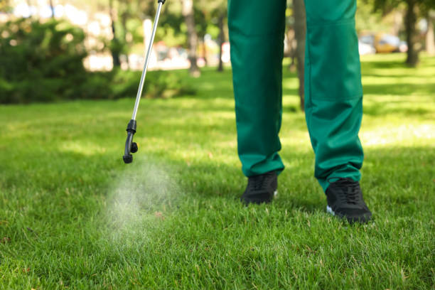 Best Best Pest Control Companies  in Port Aransas, TX