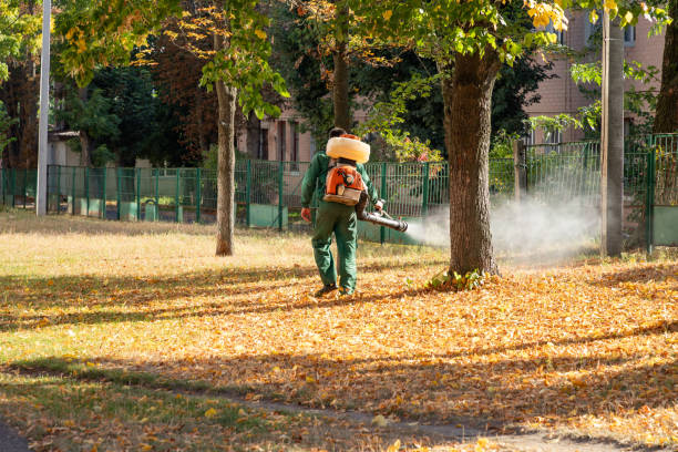 Best Pest Prevention Services  in Port Aransas, TX